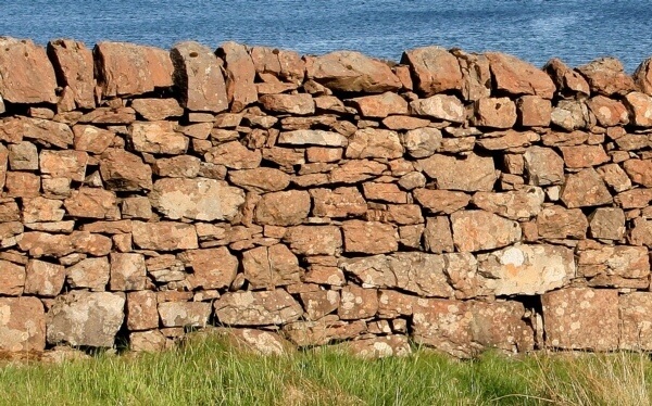 See wall